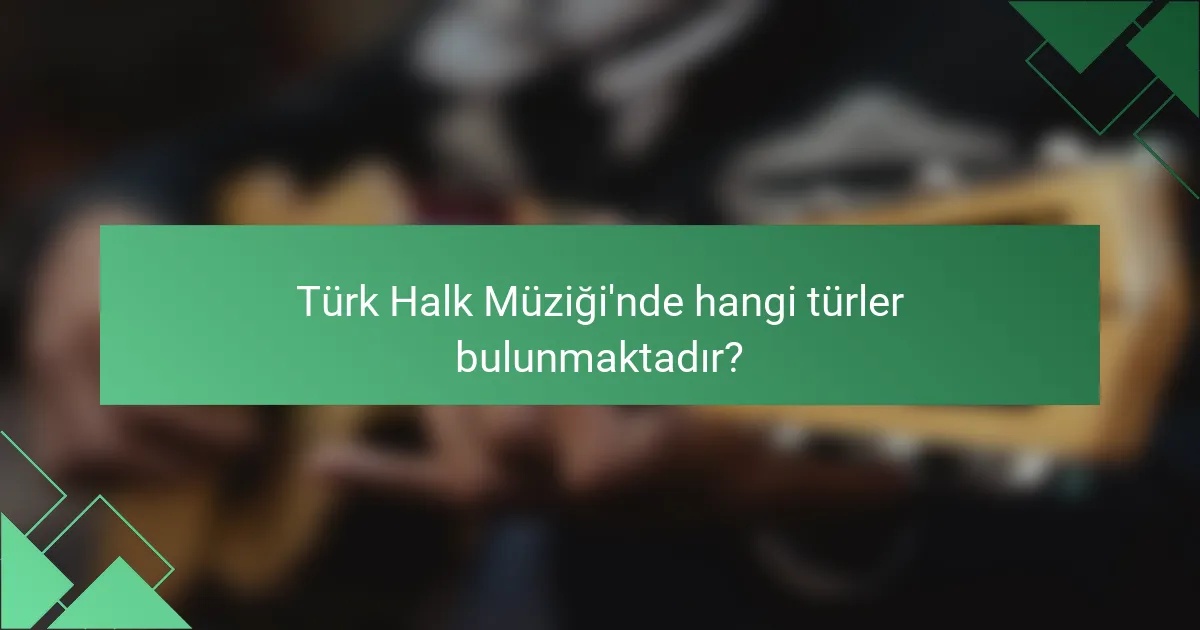 Türk Halk Müziği'nde hangi türler bulunmaktadır?