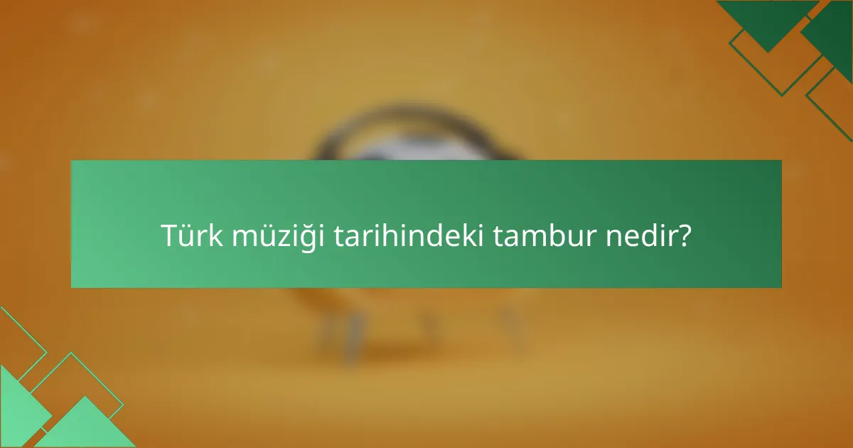 Türk müziği tarihindeki tambur nedir?