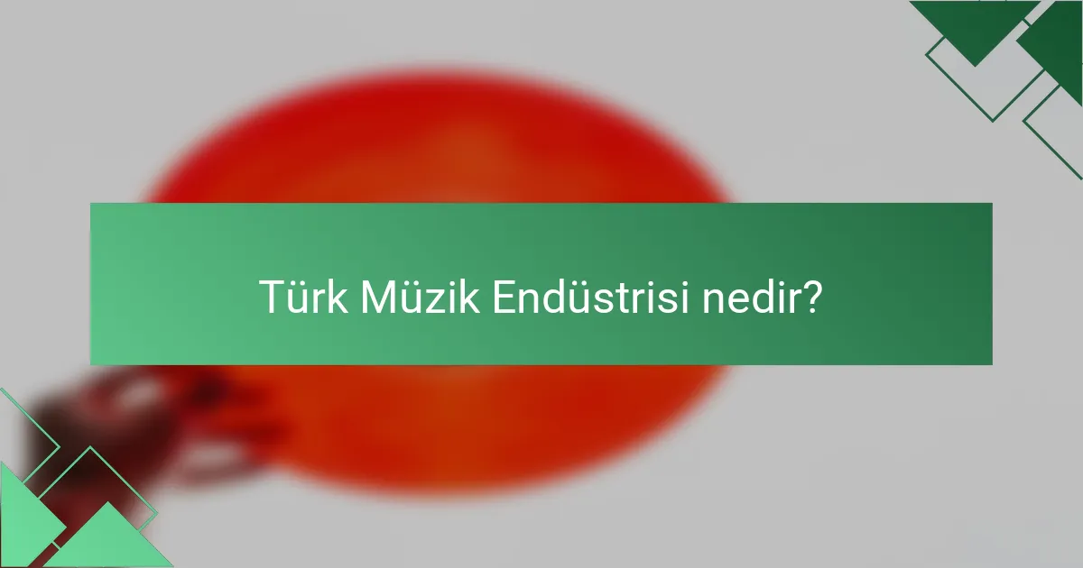 Türk Müzik Endüstrisi nedir?