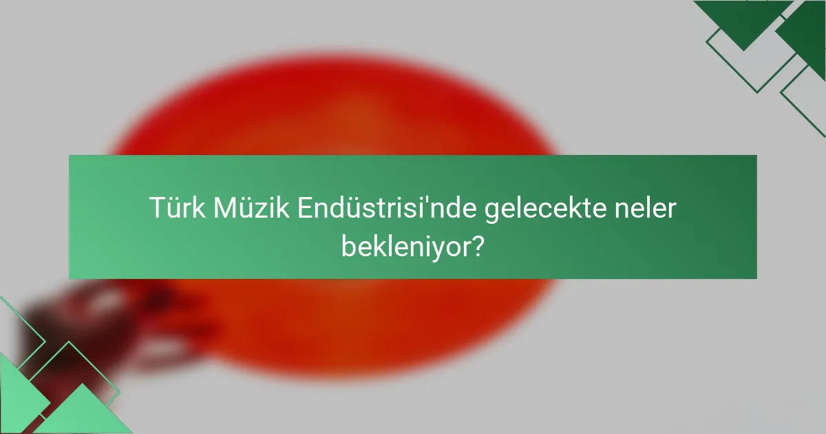 Türk Müzik Endüstrisi'nde gelecekte neler bekleniyor?
